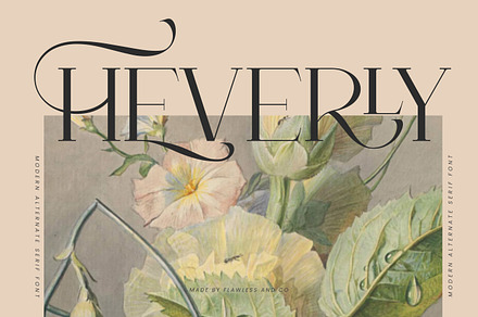 Heverly-Modern Alternate Serif Font, a Serif Font by Flawless And Co