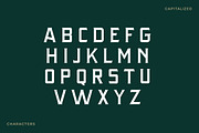 Rattlesnake - Vintage Serif Font, a Serif Font by Creative Type (Thumbnail 6 of 13)