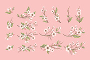 Apple Blossom seamless pattern, a Pattern Graphic by AnzhelikaGerman (Thumbnail 3 of 6)