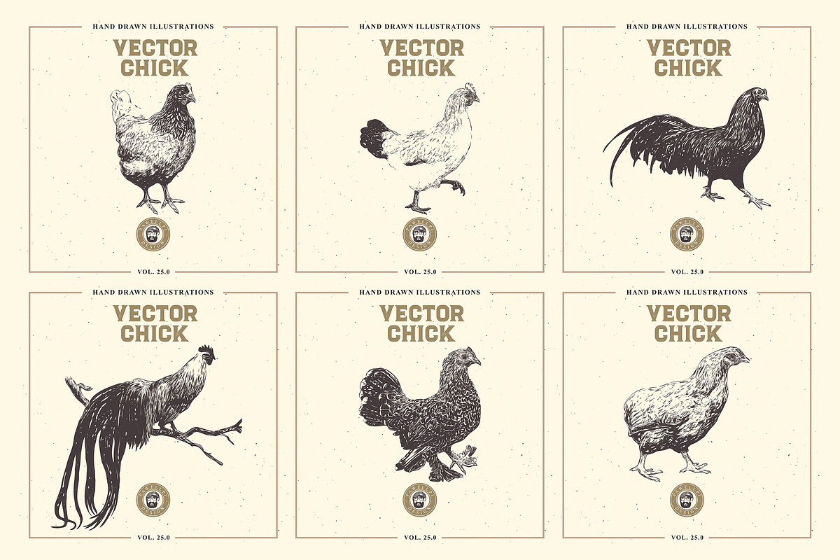 VECTOR CHICK HAND DRAWN BUNDLE VOL25, an Animal Illustration by pawellpi (Photo 4 of 9)