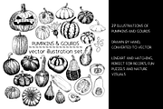Pumpkins & Gourds - illustrations, a Food Illustration by Renée from Studio neetje (Thumbnail 2 of 5)