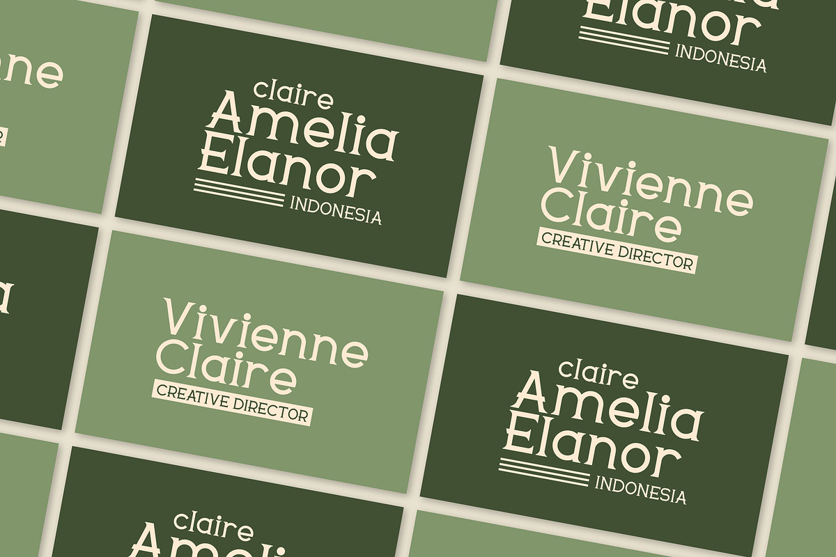 Delavine - Modern Serif Font, a Serif Font by Mily Studio (Photo 2 of 15)