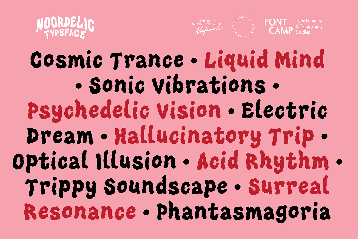 Noordelic Font, a Symbol Font by Fontcamp Type Foundry (Photo 9 of 14)