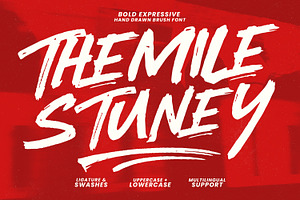 Themile Stuney Bold Expressive Brush, a Handwritten Font by Maulana Creative
