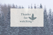 Winter Botanicals Clipart, a Seasonal Illustration by RaDavCrafts (Thumbnail 12 of 12)