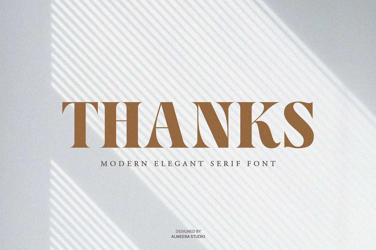 Versyla - Classic & Modern Serif, a Serif Font by Almeera Std (Photo 6 of 6)
