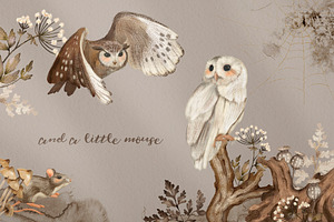 Owls Story Watercolor Forest Clipart