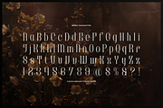 Brunelis Noctelle Display Serif Font, a Handwritten Font by gracetype_studio (Thumbnail 10 of 12)
