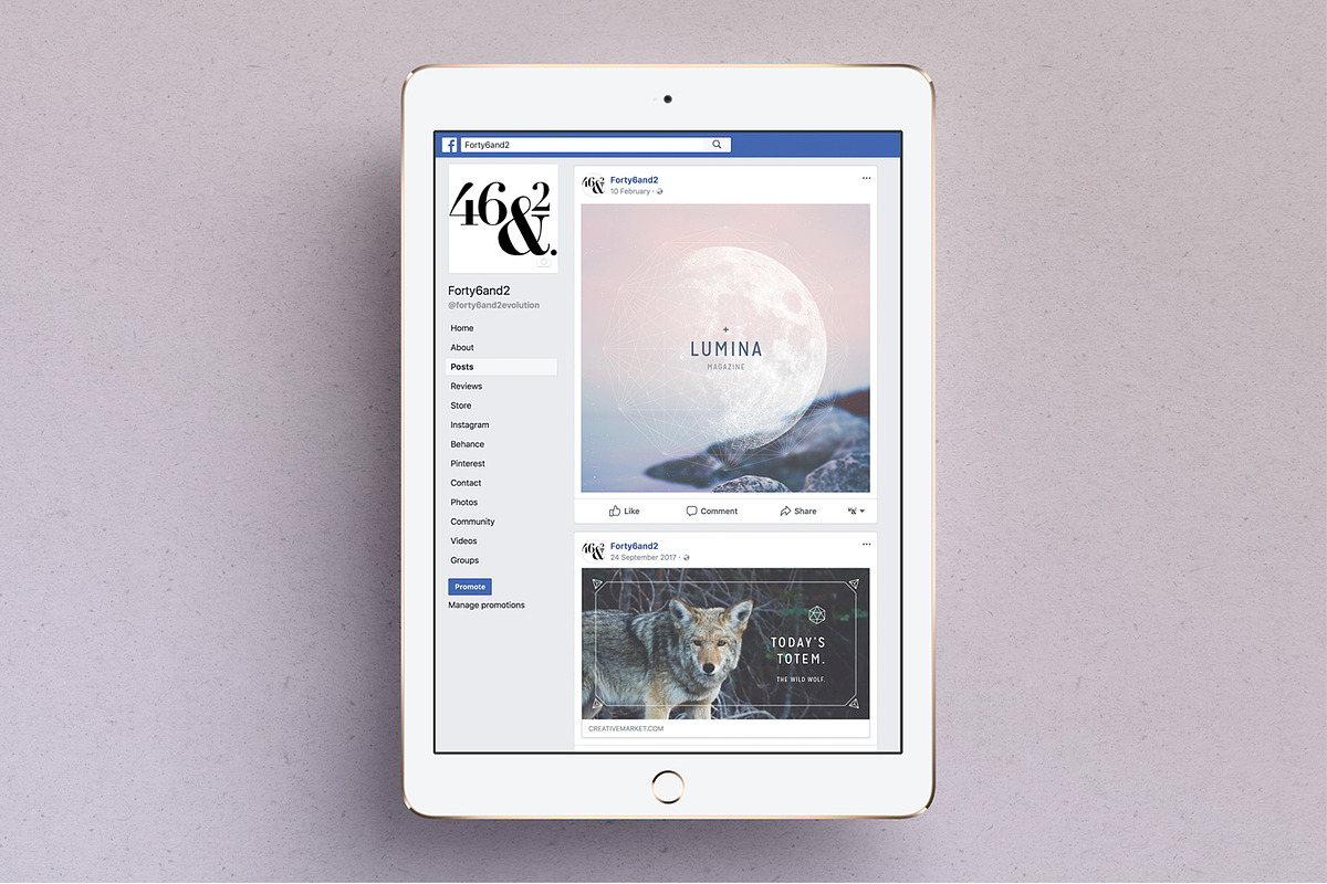 LUMINA Facebook Pack, a Social Media Template by 46&2 Collective (Photo 7 of 8)