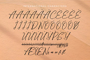 Poleemanik, a Script Font by Integritype Studio (Thumbnail 11 of 15)