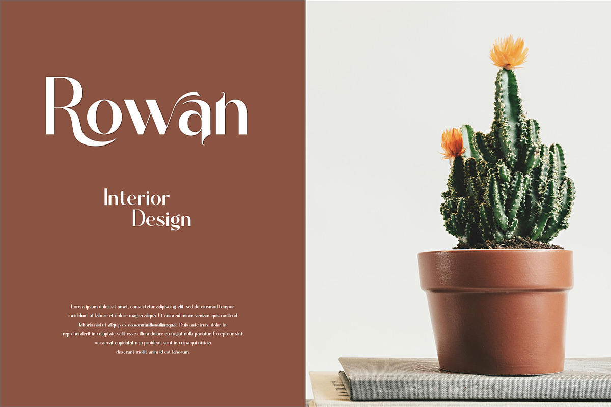 Davinca, a Sans Serif Font by Zafiratype (Photo 8 of 14)
