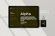 Alpha Brand Guideline, a Brochure Template by Aura Agency (Thumbnail 6 of 9)