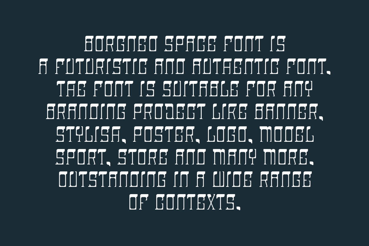 Borgneo Space - Futuristic Font, a Serif Font by QR Design Studio (Photo 4 of 6)