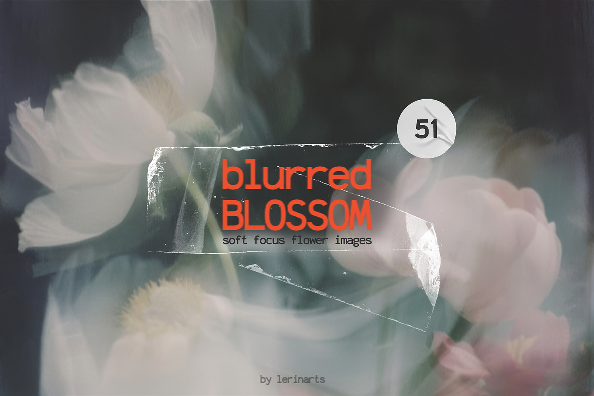 Blurred BLOSSOM backgrounds, a Background Graphic by lerinartstudio (Photo 1 of 13)