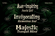 CF Kataleya - Art Nouveau Display, a Sans Serif Font by Indotype Foundry (Thumbnail 4 of 10)