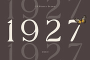 CS Bianca Drawn, a Serif Font by Craft Supply Co. (Thumbnail 3 of 8)