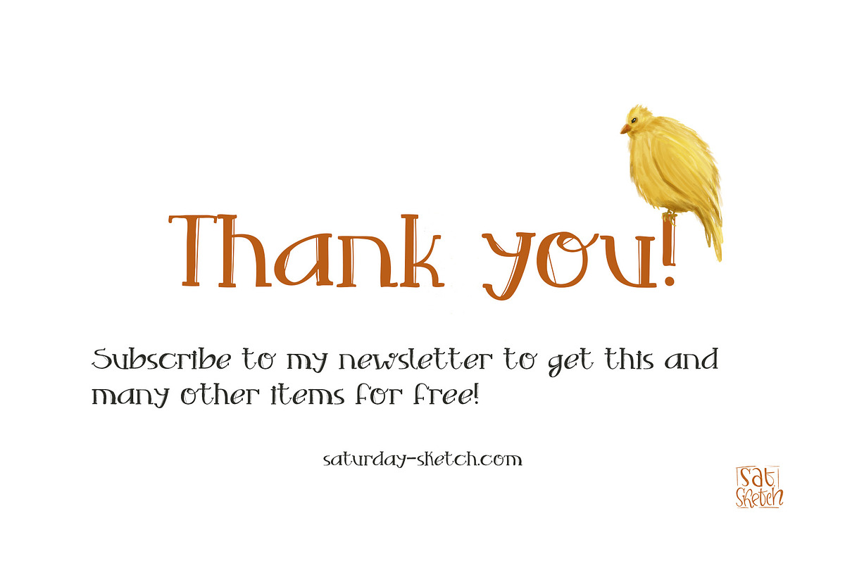Birdie - handdrawn display font, a Serif Font by saturday.sketch (Photo 8 of 8)