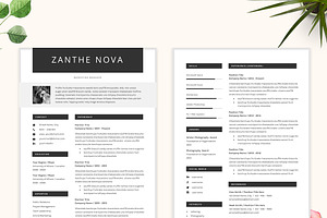 Creative Resume CV Template - ZN