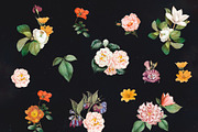 Women's Universe Collection, an Object Graphic by Natali Batu (Thumbnail 16 of 30)