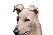 Dogs Cross Breeds 56 Animals Bundle, an Animal Illustration by Dneprstock (Thumbnail 27 of 55)