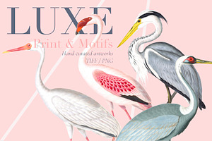 Luxe, Glamour And More!