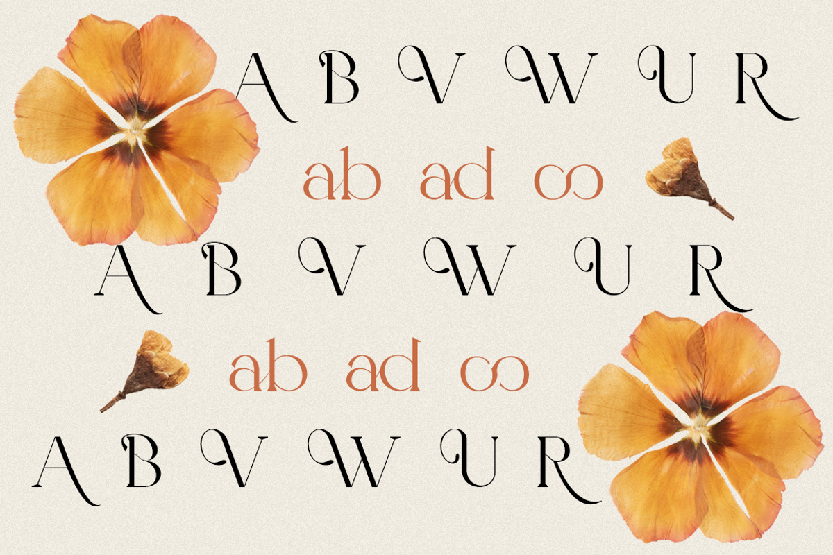 Valooron - Business Font, a Serif Font by RockboyStd (Photo 10 of 12)