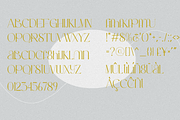 Ghafina Display Serif, a Serif Font by Violet Natural (Thumbnail 9 of 10)