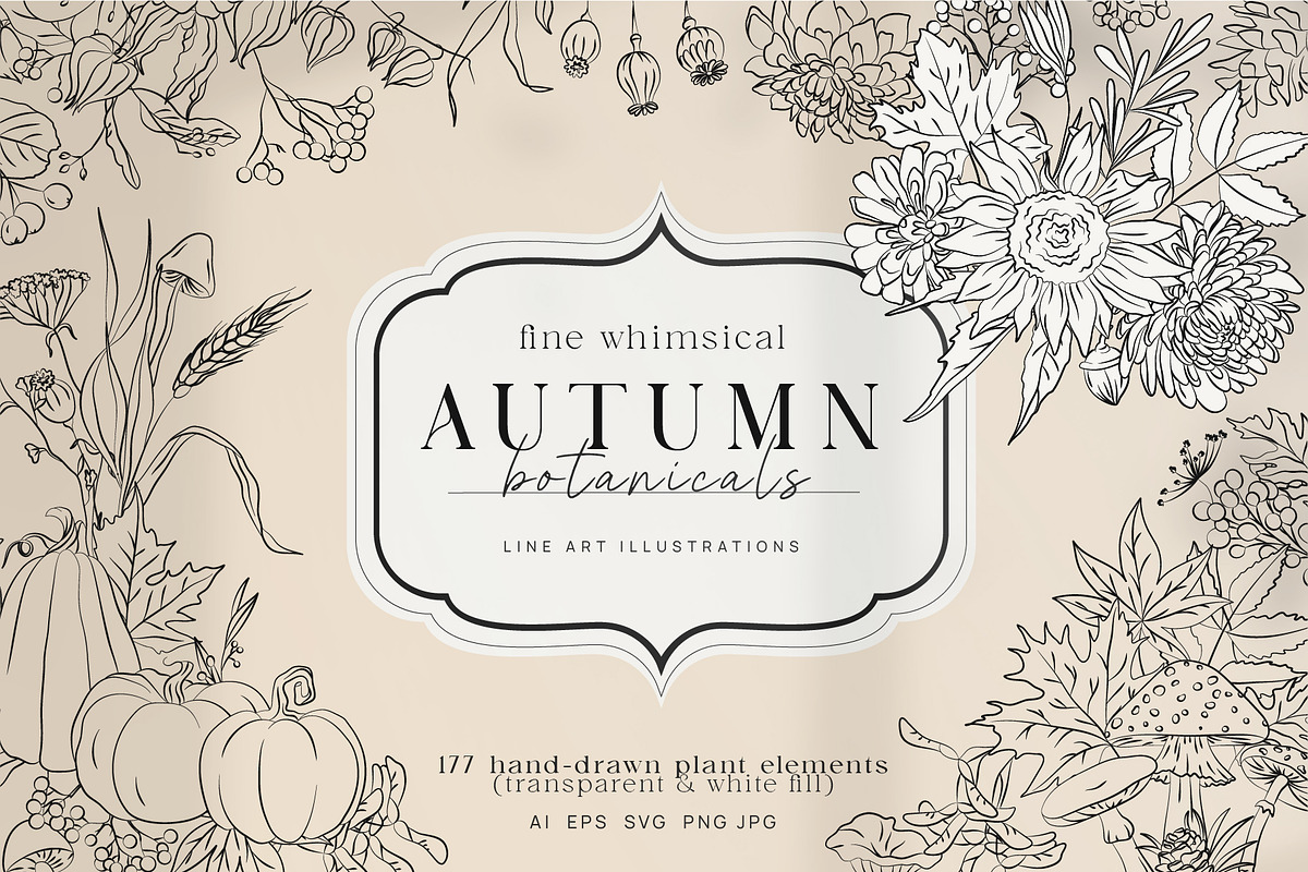 Autumn Botanicals Line Art Clipart, a Decorative Illustration by La Petite Line Art (Photo 1 of 14)