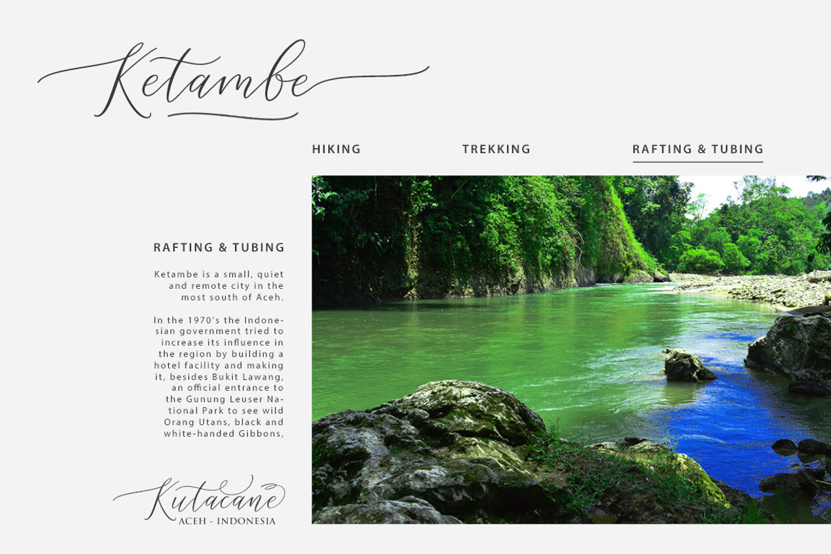 Rejoice Typeface, a Script Font by banks (Photo 9 of 15)