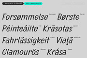 TT Marks, a Script Font by TypeType (Thumbnail 9 of 12)