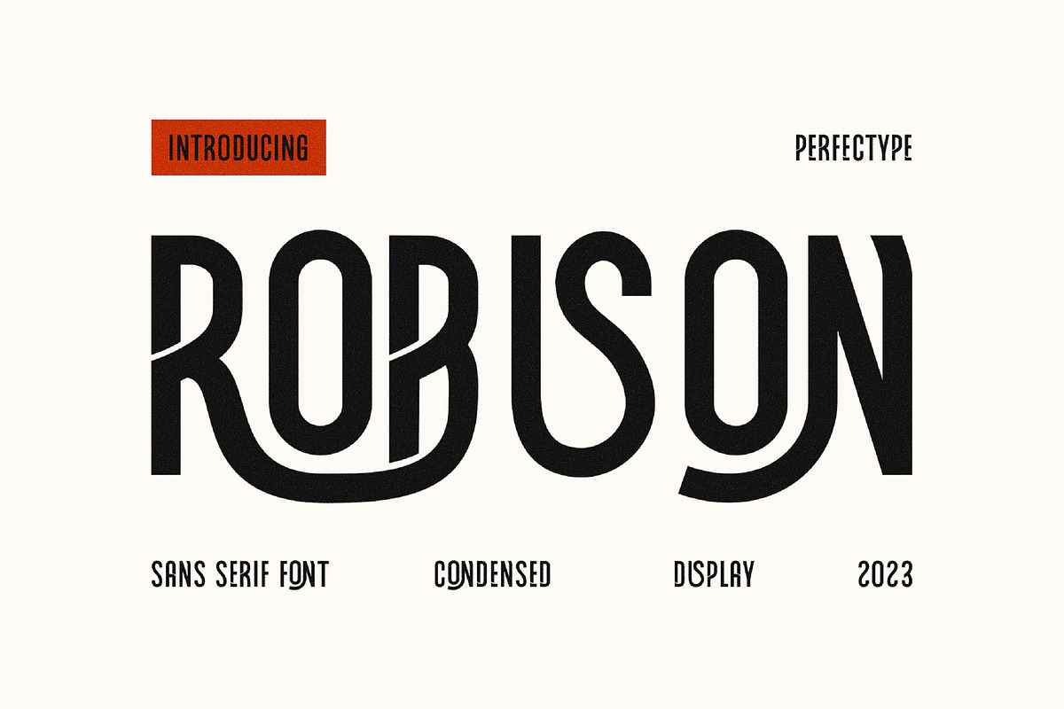 Robison Modern Ligature Futuristic S, a Sans Serif Font by Perfectype (Photo 1 of 8)