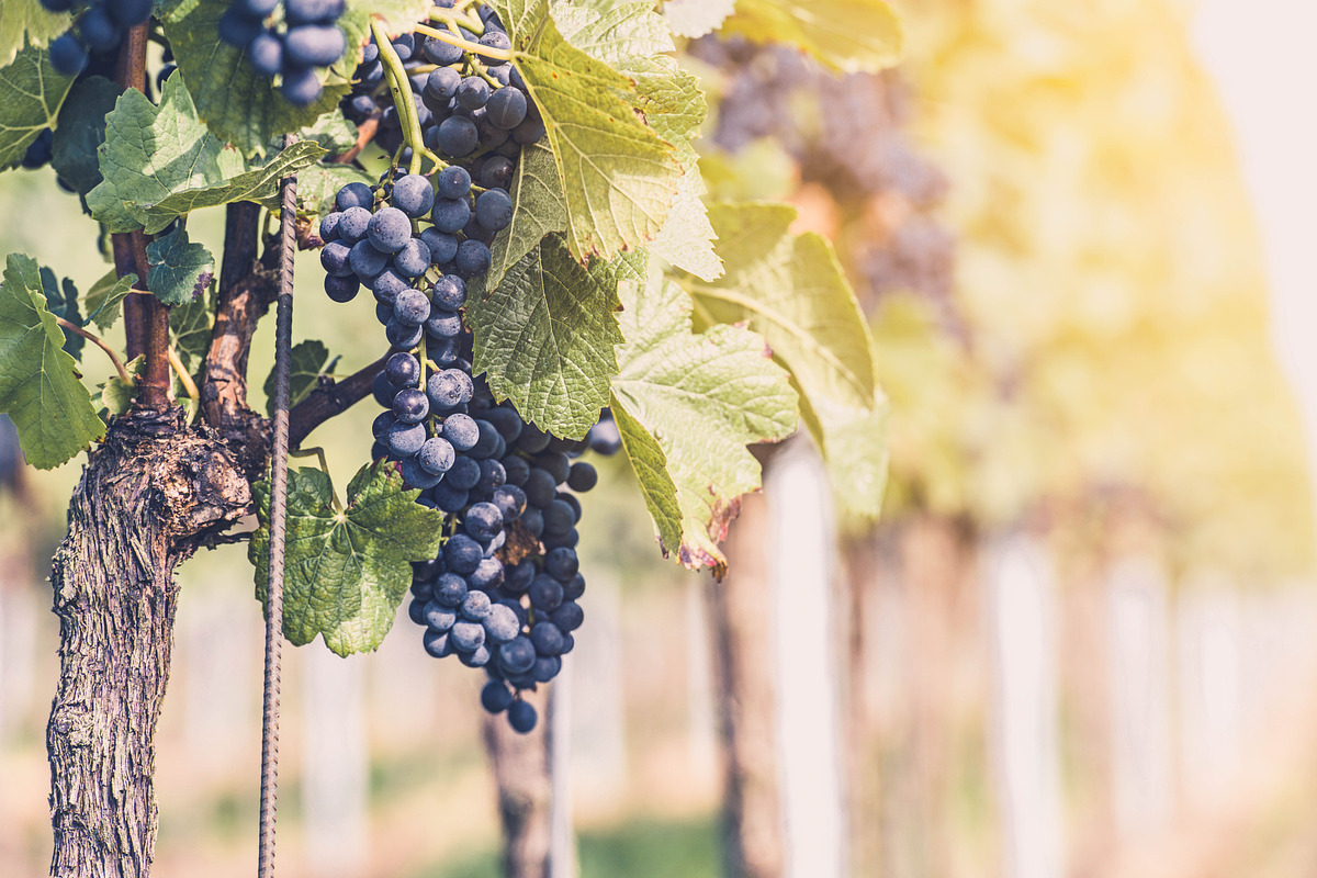 10 Stunning Matte Landscape Presets, a Preset Add-On by Timeless Presets (Photo 13 of 13)