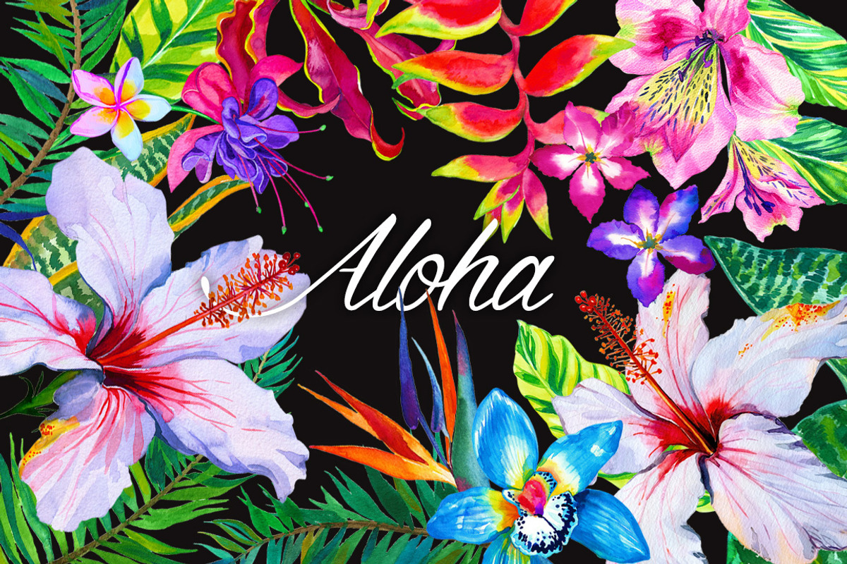 Aloha - tropical flowers kit., an Illustration by RosaPompelmo (Photo 1 of 5)