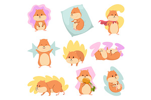 Cartoon hamsters set. Fluffy, an Animal Illustration by the8monkey