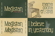 SALE! Mega Bundle 100+ Modern Font!, a Serif Font by Storytype Studio (Thumbnail 108 of 111)