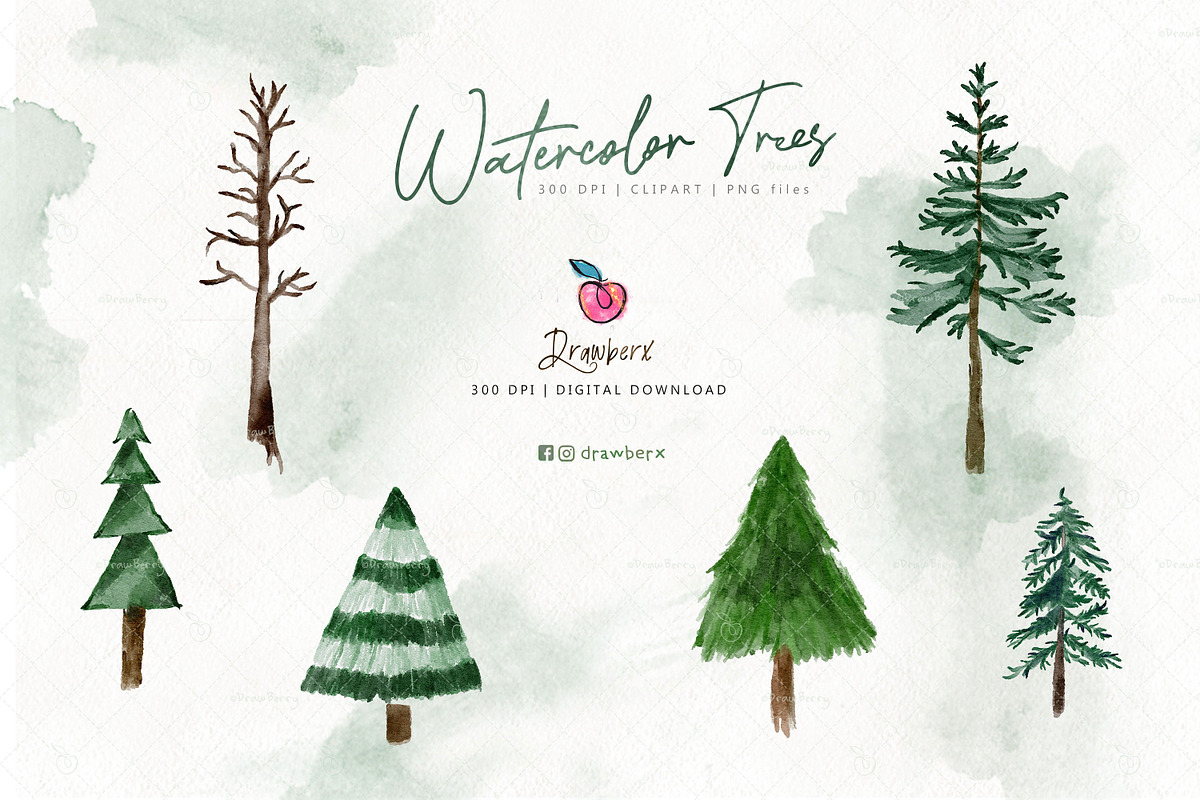 Pine Tree Clipart, Watercolor 109, an Illustration by Drawberx (Photo 7 of 9)