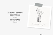 Procreate Brushes 27 Indoor plants, a Brush Add-On by Greek fonts by nantia.co (Thumbnail 4 of 5)