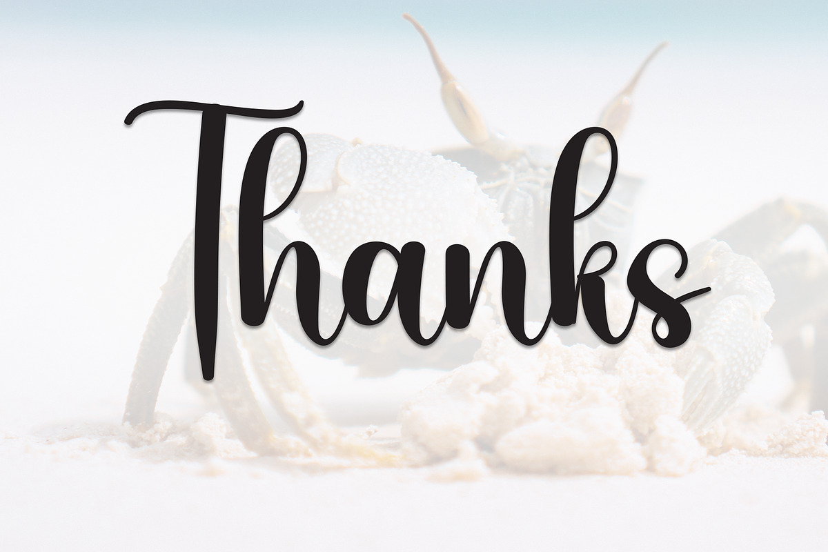 Babycrab | Script Font, a Handwritten Font by Scratchones (Photo 8 of 8)
