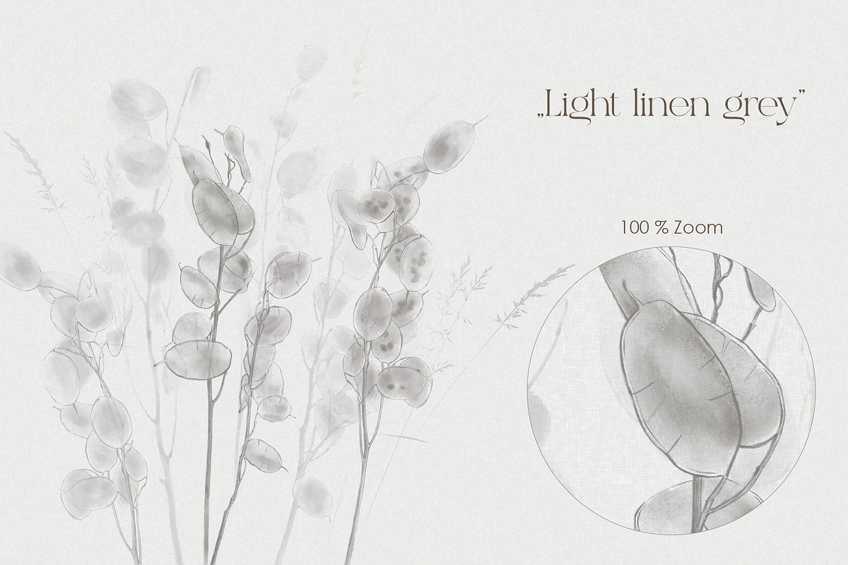 Lunaria – Botanical Wall Mural Set, a Wallpaper Graphic by Timofi Art (Photo 6 of 9)