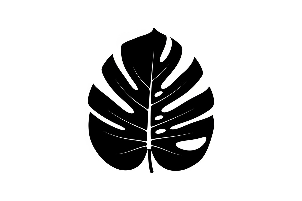 Monstera Leaf Silhouette Bundle, an Illustration by yasushie (Photo 5 of 31)
