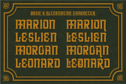 ARMINOS, a Serif Font by saskaratype (Thumbnail 6 of 6)