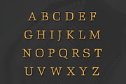 ARCHIBALD: A Classic Slab Serif, a Slab Serif Font by Dene Studios (Thumbnail 3 of 5)