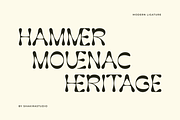 Rackind - Unique Display Font, a Serif Font by Shakira Studio (Thumbnail 5 of 11)