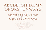 Delight - Luxury Serif Typeface, a Serif Font by HipFonts (Thumbnail 3 of 9)
