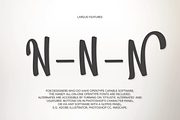 Largus Typeface, a Script Font by Larin Type Co. (Thumbnail 7 of 7)