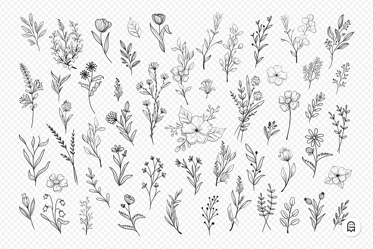 Wild Flower Illustrations, an Illustration by Graphic Ghost