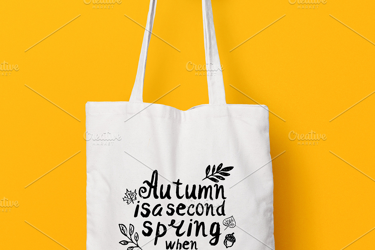 Autumn set preview 4