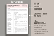 Nurse Resume Template for word, a Resume Template by aivos (Thumbnail 2 of 6)