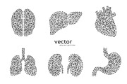 Vector illustrations of human organs, a Healthcare Illustration by Julvil (Thumbnail 1 of 2)