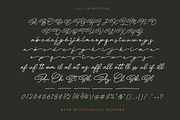 Huntsville - Monoline Signature Font, a Script Font by Martype Co (Thumbnail 7 of 9)